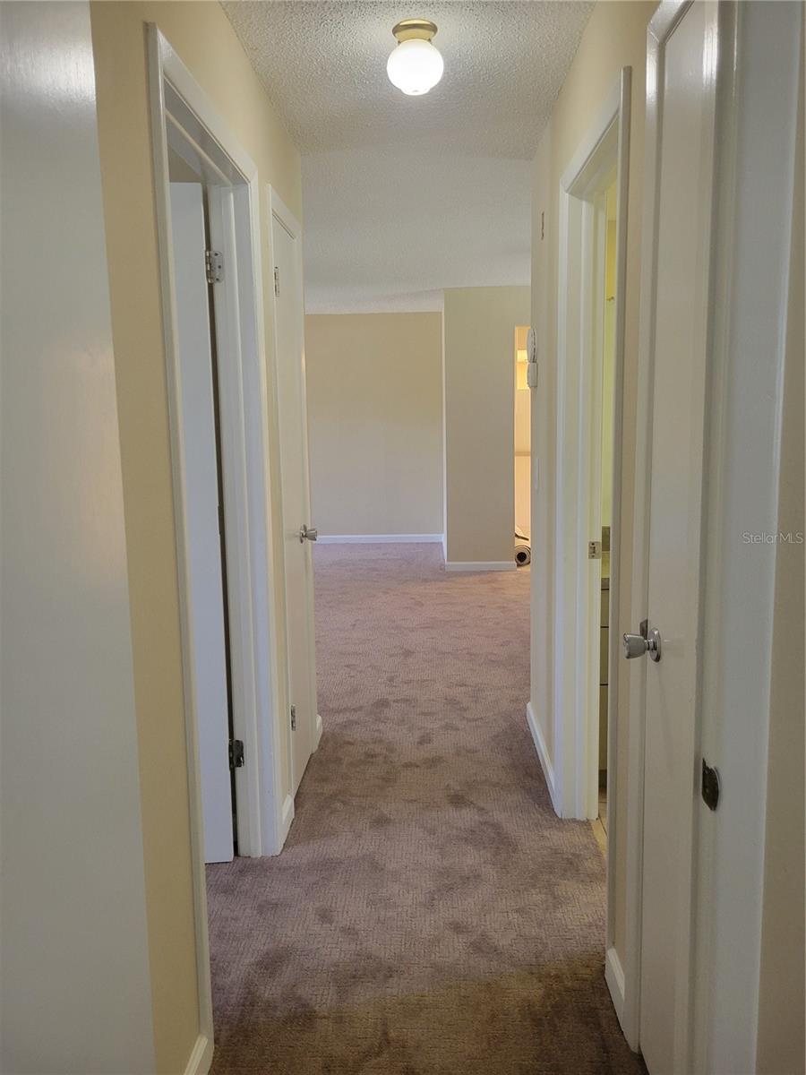 9022 LINGROVE RD, WEEKI WACHEE, FL — photo 26