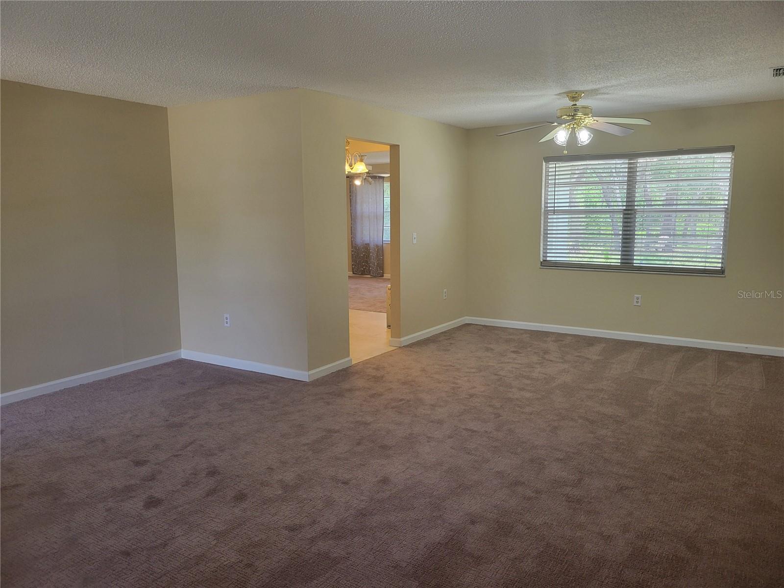9022 LINGROVE RD, WEEKI WACHEE, FL — photo 27
