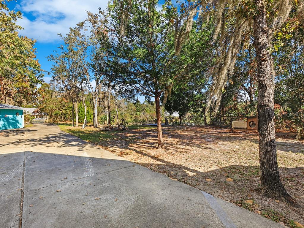 112 8TH ST NE, STEINHATCHEE, FL — photo 11