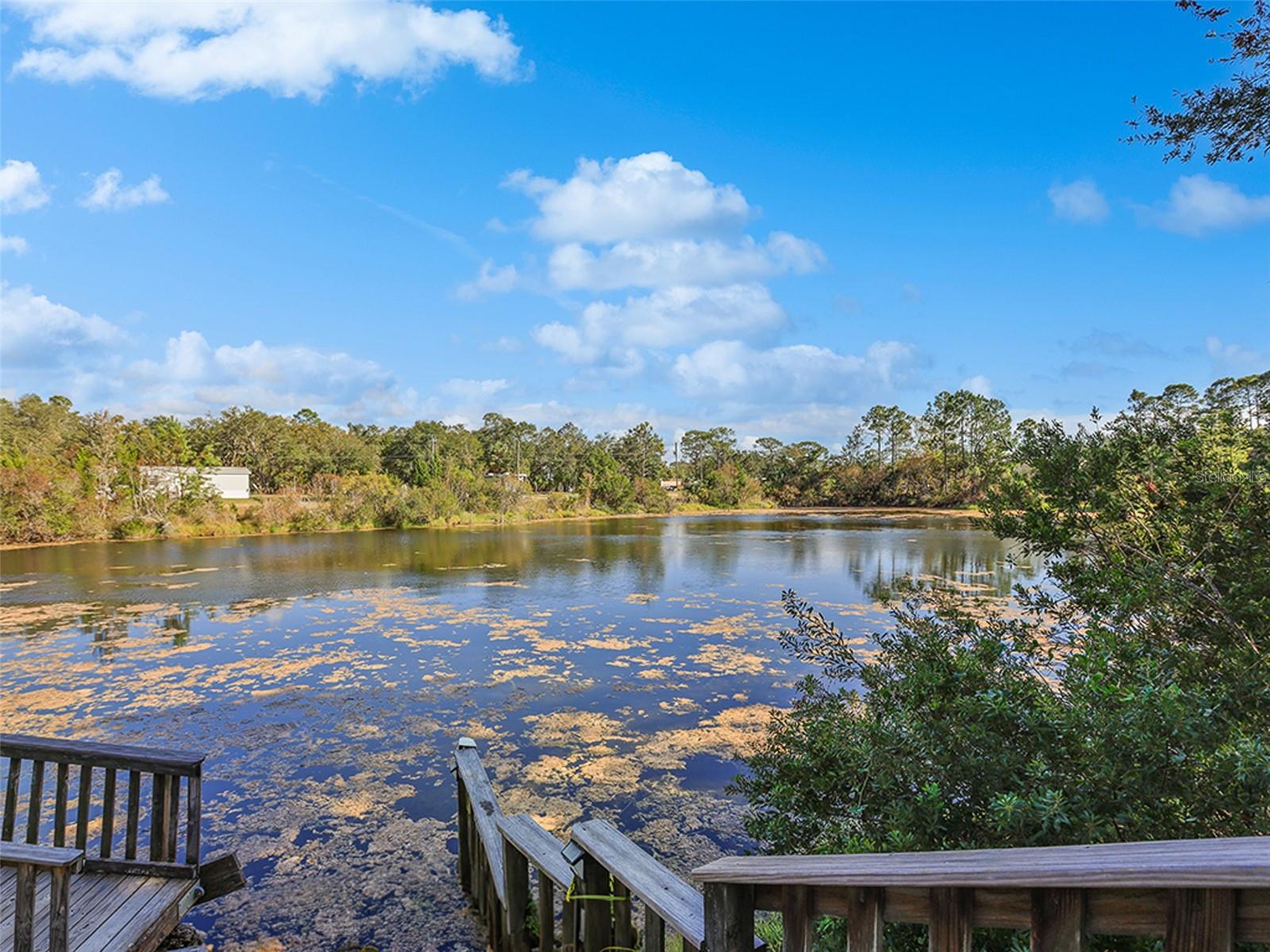 112 8TH ST NE, STEINHATCHEE, FL — photo 14