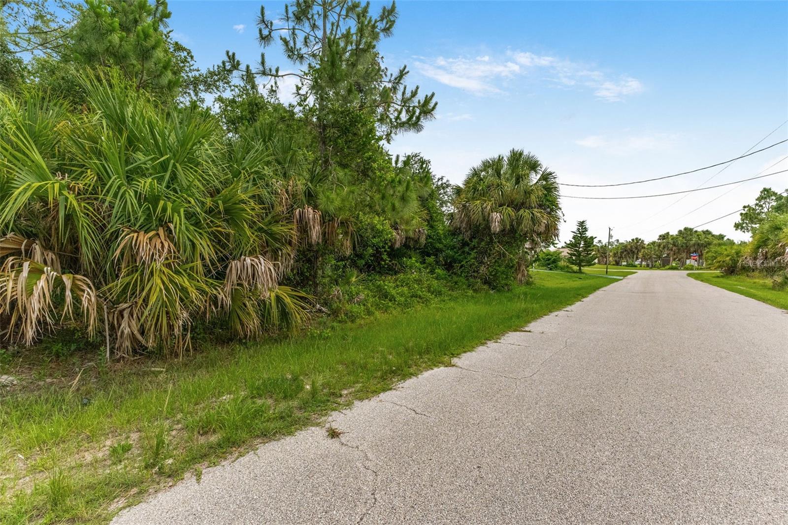 VAN LEER AVE, NORTH PORT, FL — photo 12