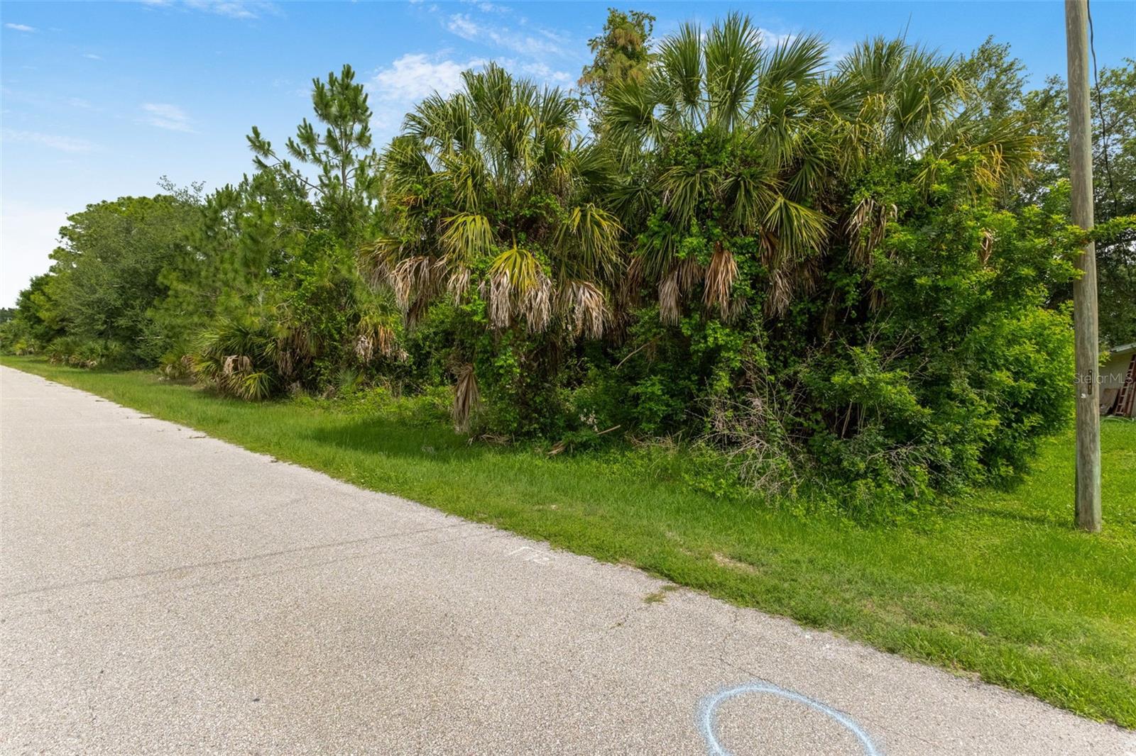 VAN LEER AVE, NORTH PORT, FL — photo 13