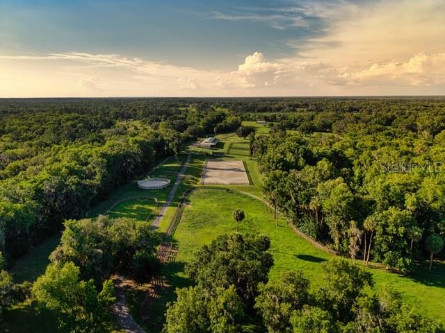 7000 NW HWY 320, MICANOPY, FL — photo 4