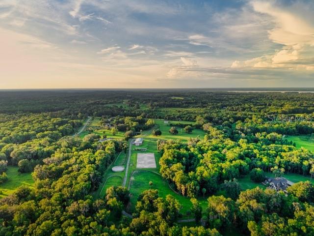 7000 NW HWY 320, MICANOPY, FL — photo 8