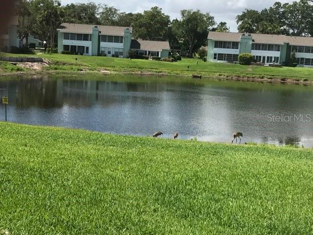 519 MIDWAY DR #A, OCALA, FL — photo 33
