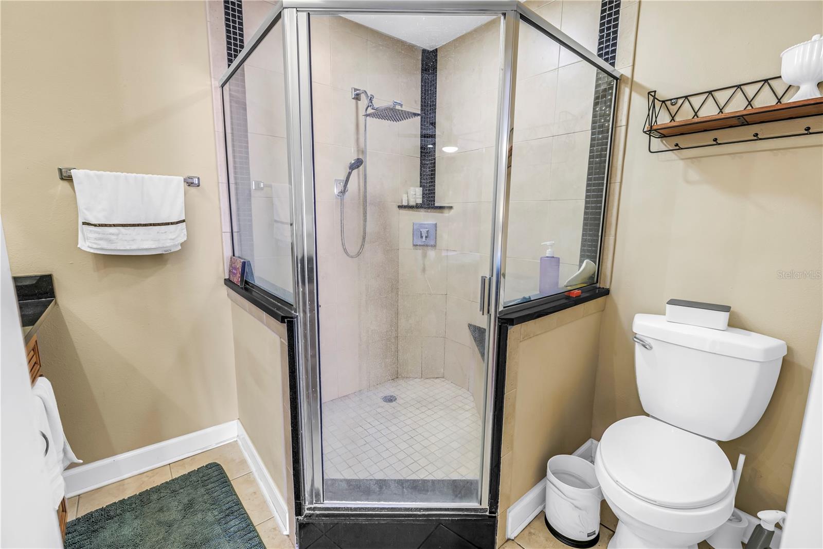 3595 41ST LN S #D, ST PETERSBURG, FL — photo 8