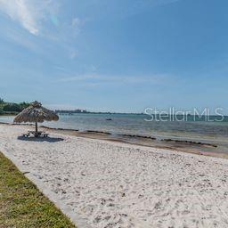 3595 41ST LN S #D, ST PETERSBURG, FL — photo 41