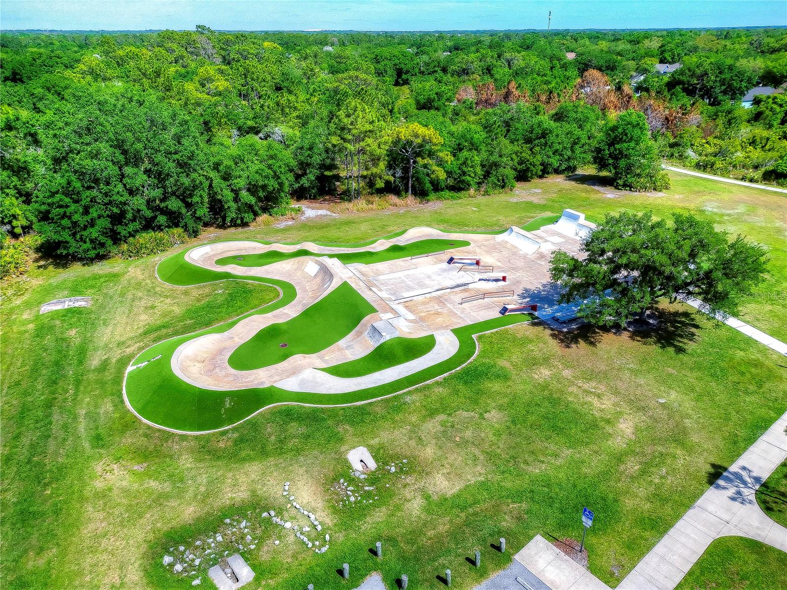 6135 CHURCHSIDE DR, LITHIA, FL — photo 46