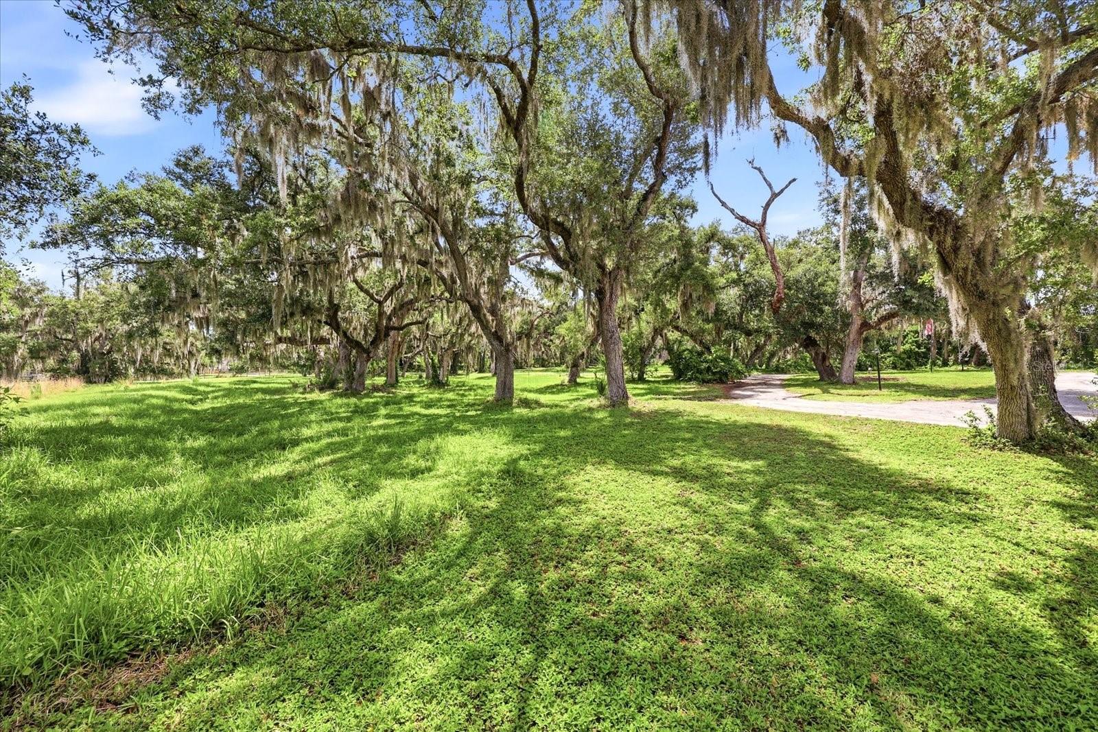 5850 VANDERIPE RD, SARASOTA, FL — photo 54