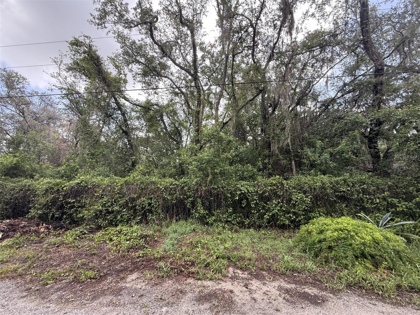 10934 LEON ST, NEW PORT RICHEY, FL — photo 3