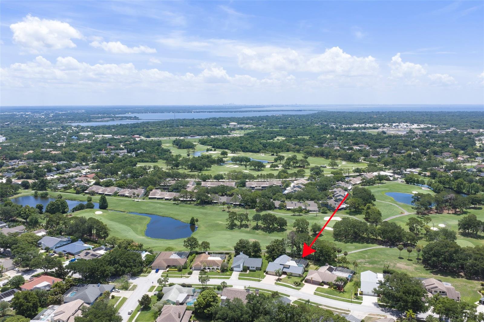 3119 HYDE PARK DR, CLEARWATER, FL — photo 37