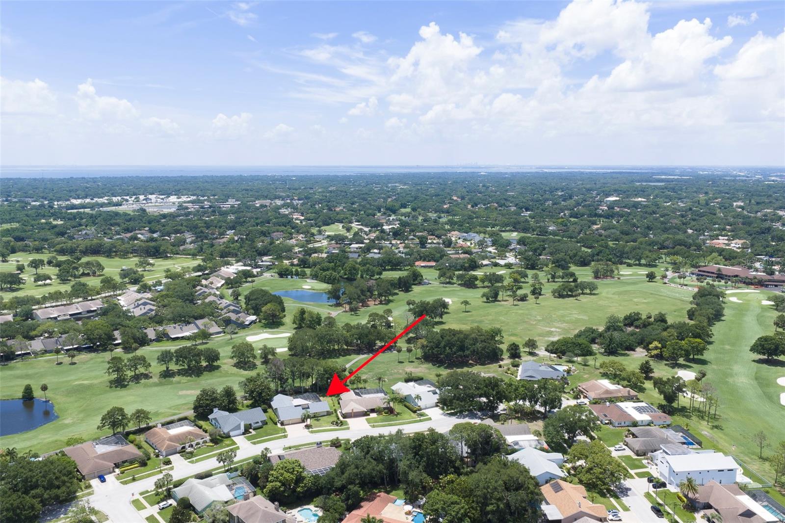 3119 HYDE PARK DR, CLEARWATER, FL — photo 38