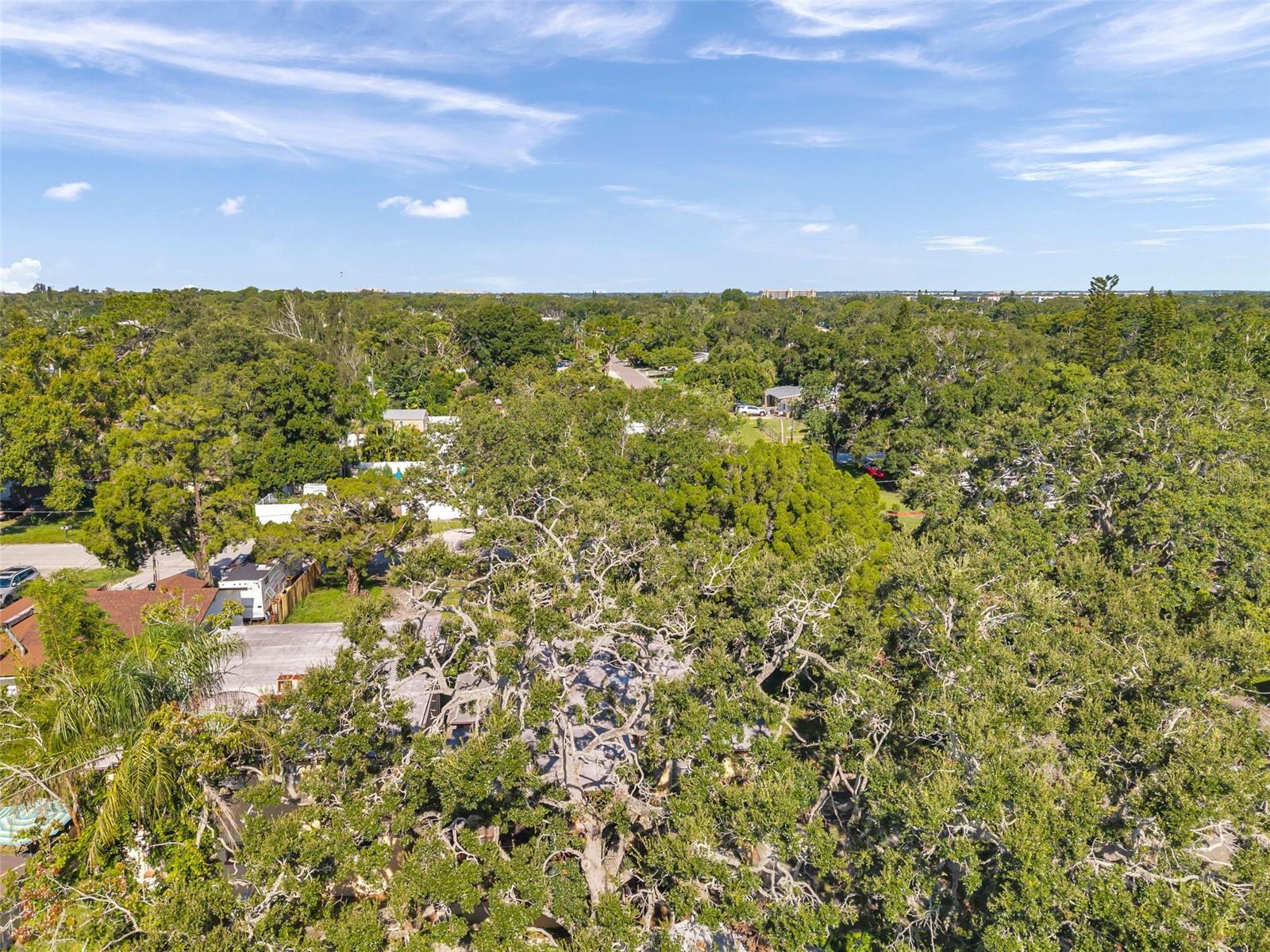7180 50TH AVE N, ST PETERSBURG, FL — photo 24
