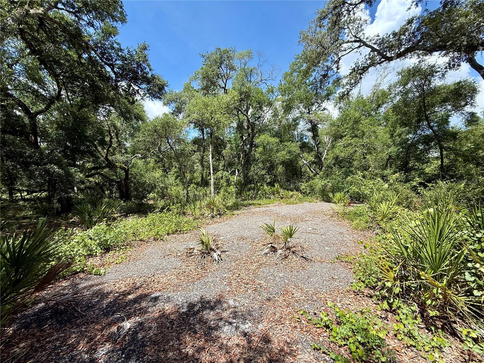 LONG CIR, WEBSTER, FL — photo 2