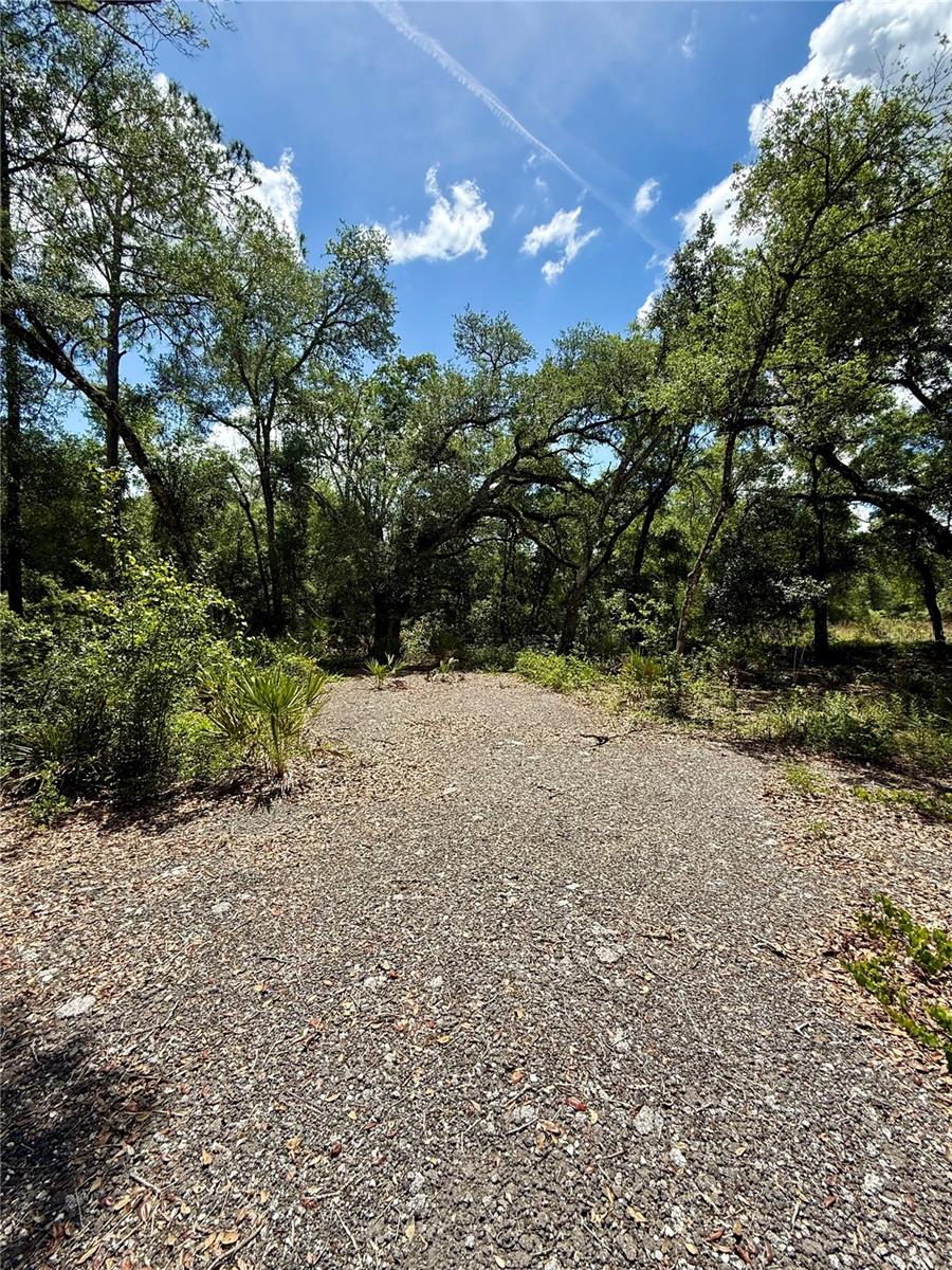 LONG CIR, WEBSTER, FL — photo 3