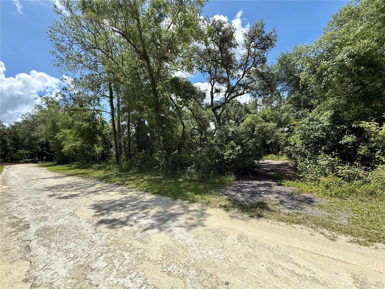 LONG CIR, WEBSTER, FL — photo 5
