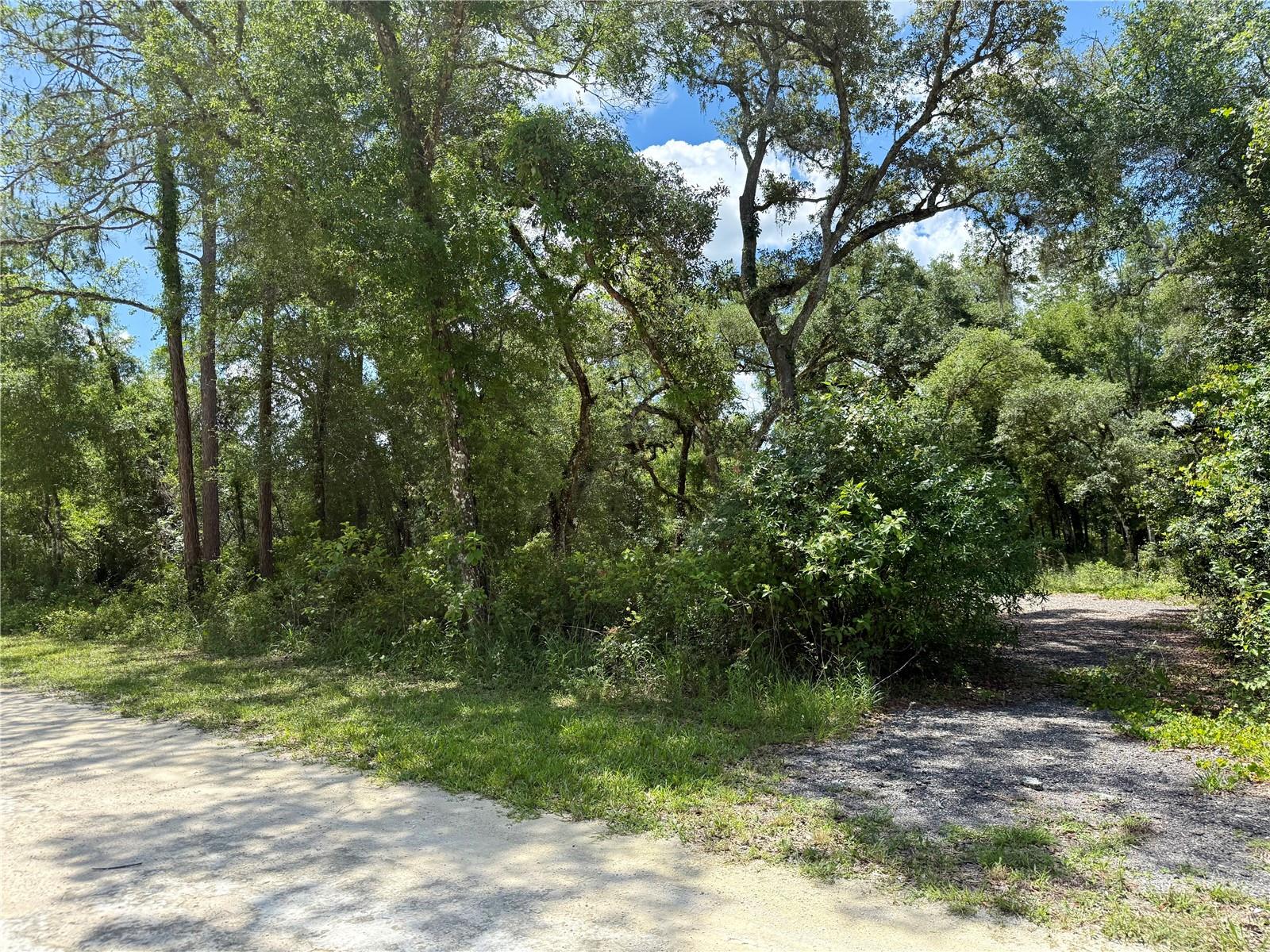 LONG CIR, WEBSTER, FL — photo 6