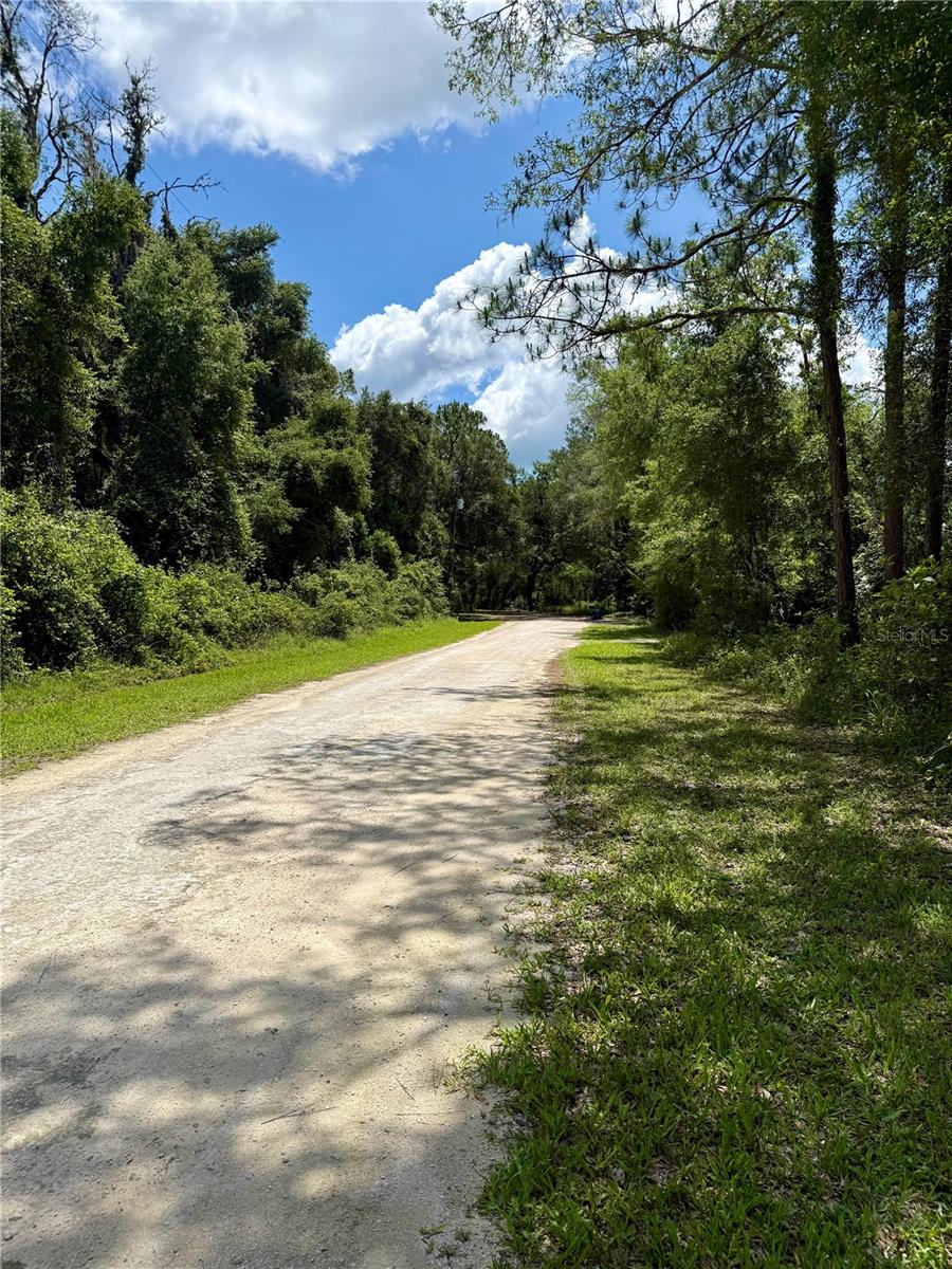 LONG CIR, WEBSTER, FL — photo 7