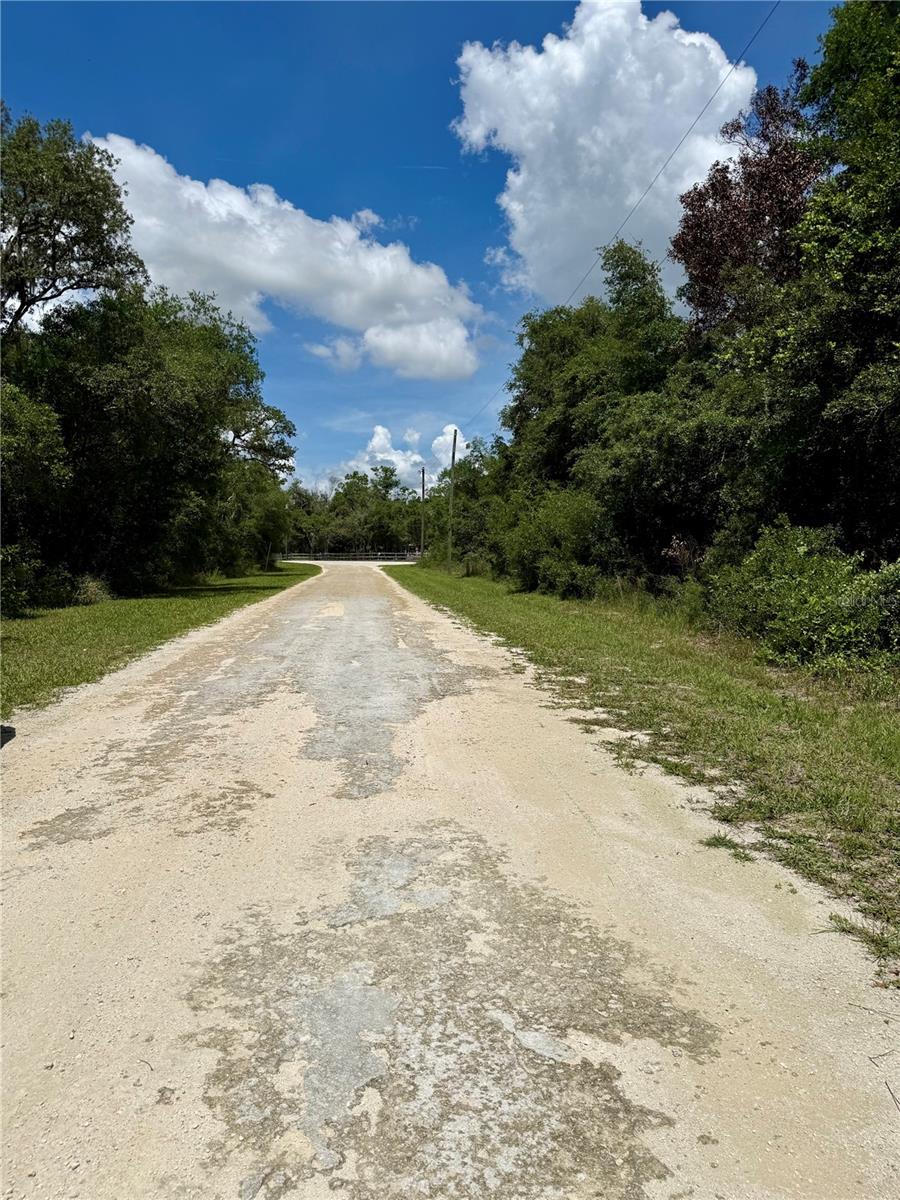 LONG CIR, WEBSTER, FL — photo 8