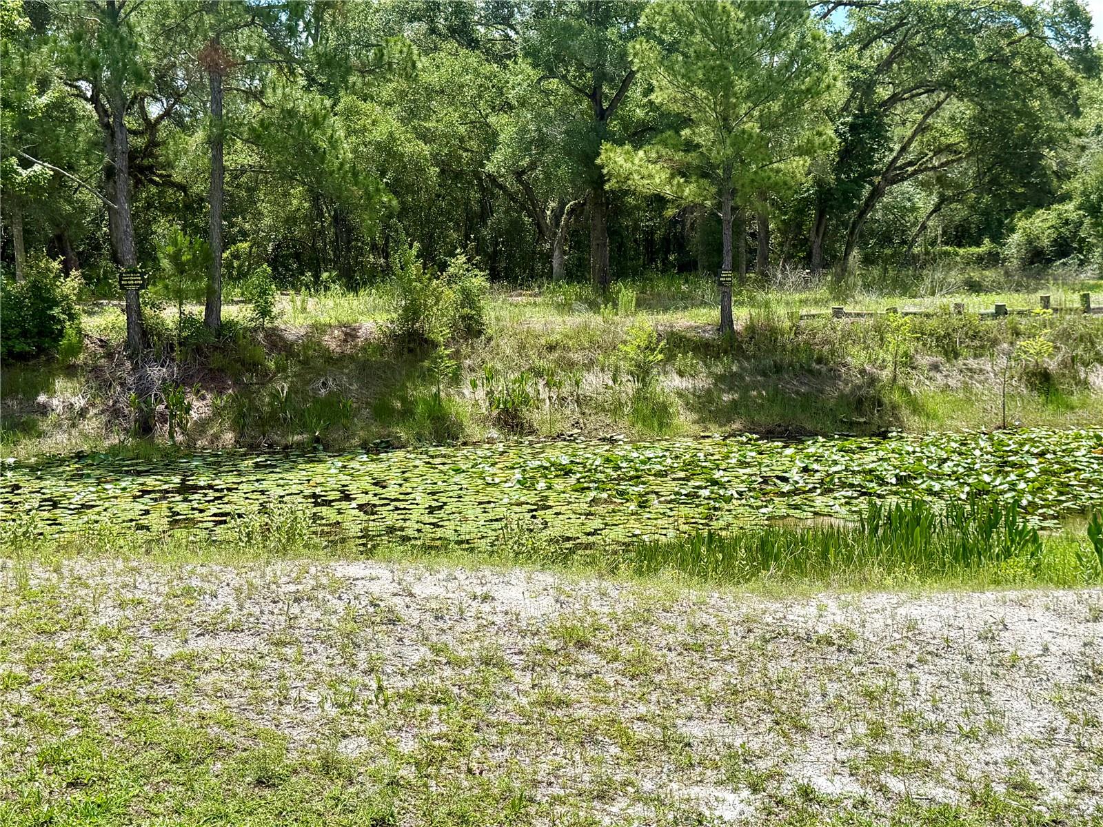 LONG CIR, WEBSTER, FL — photo 9