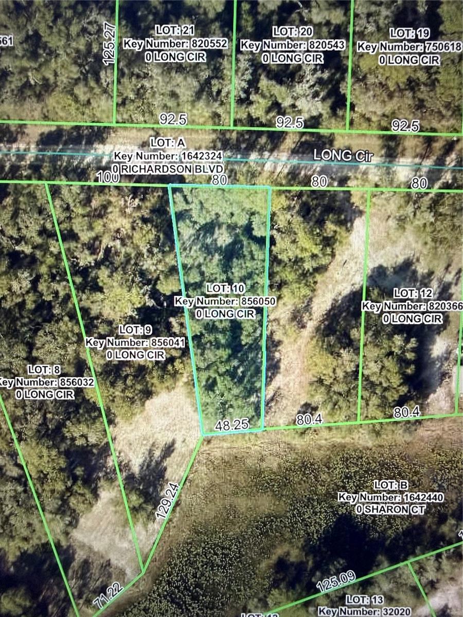 LONG CIR, WEBSTER, FL — photo 10