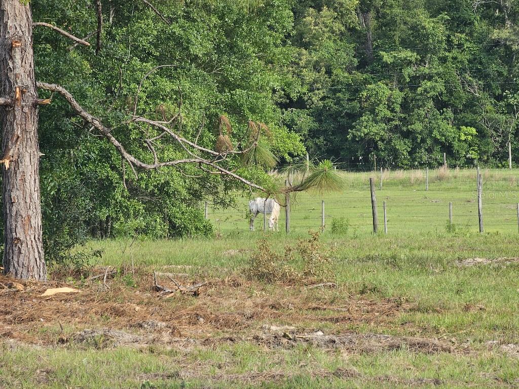 0 SW SPIRIT AVE AVE, FORT WHITE, FL — photo 7