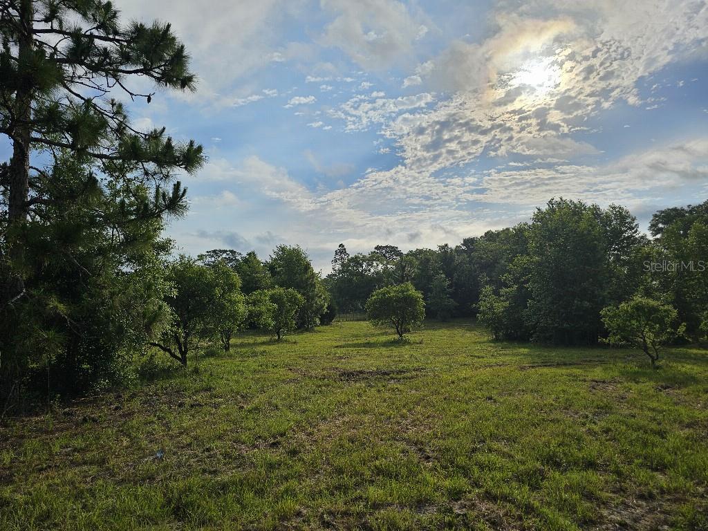 0 SW SPIRIT AVE AVE, FORT WHITE, FL — photo 10