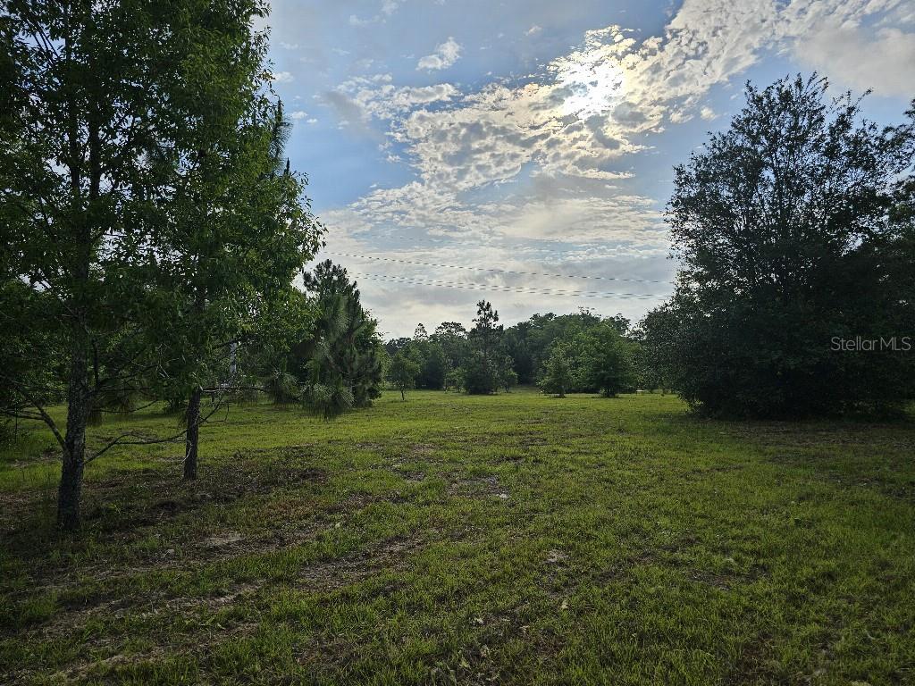 0 SW SPIRIT AVE AVE, FORT WHITE, FL — photo 11