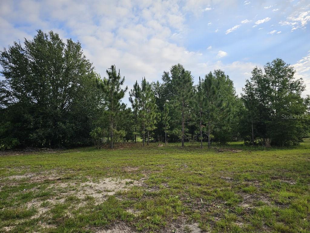 0 SW SPIRIT AVE AVE, FORT WHITE, FL — photo 12
