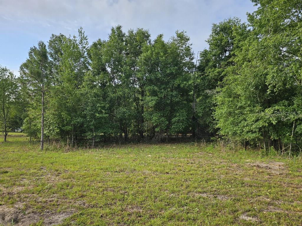 0 SW SPIRIT AVE AVE, FORT WHITE, FL — photo 18