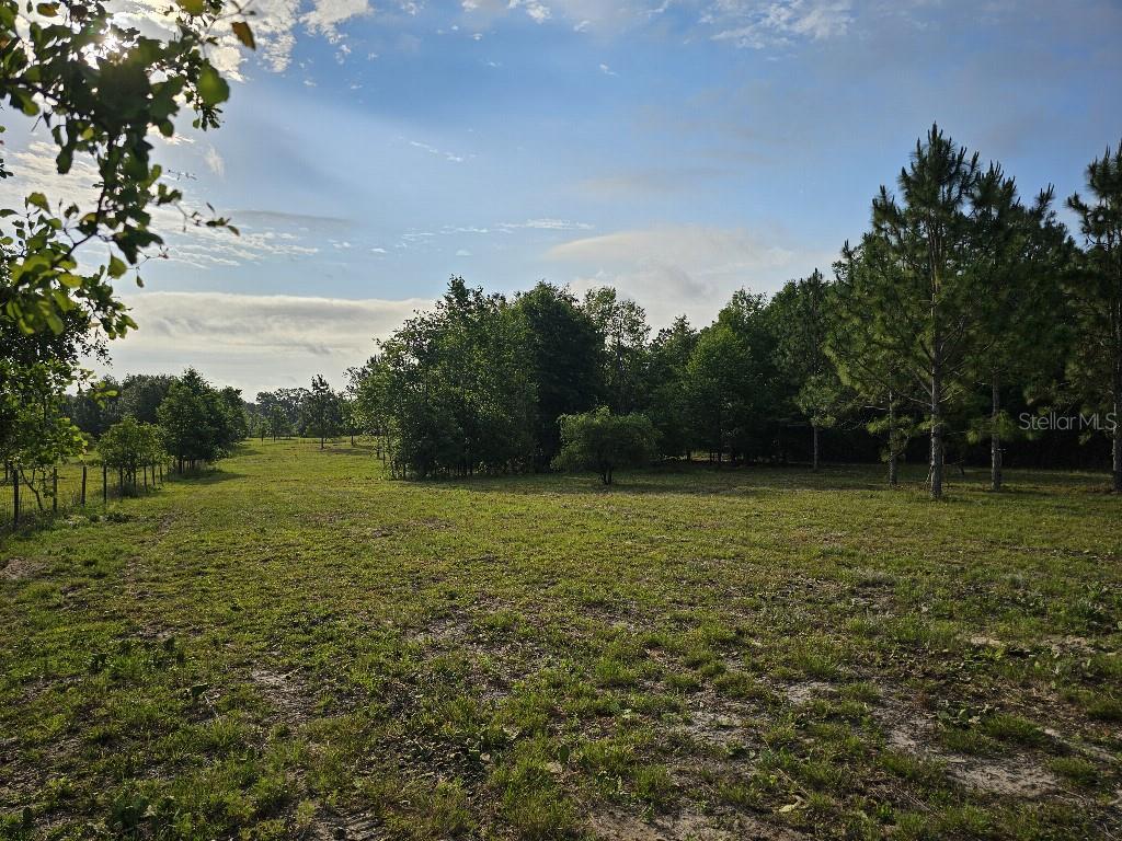 0 SW SPIRIT AVE AVE, FORT WHITE, FL — photo 20