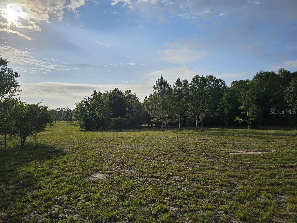 0 SW SPIRIT AVE AVE, FORT WHITE, FL — photo 22