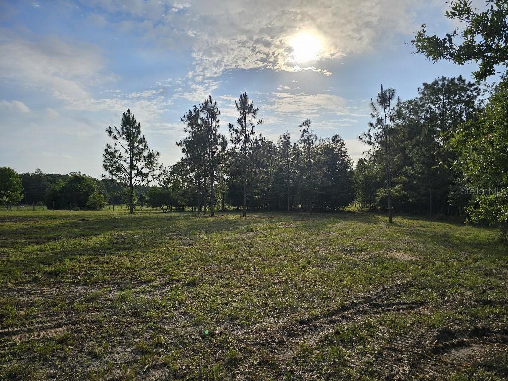 0 SW SPIRIT AVE AVE, FORT WHITE, FL — photo 26