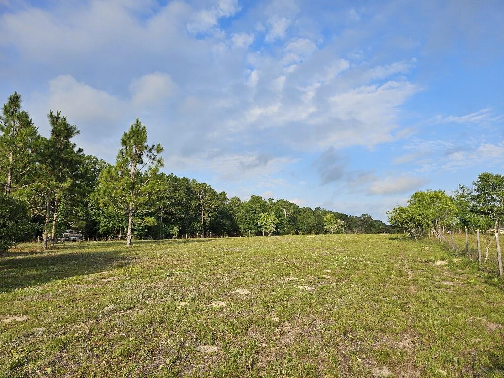 0 SW SPIRIT AVE AVE, FORT WHITE, FL — photo 28