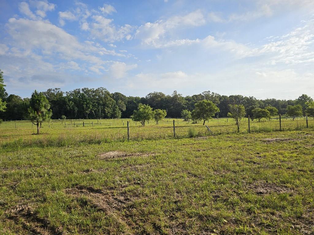 0 SW SPIRIT AVE AVE, FORT WHITE, FL — photo 30