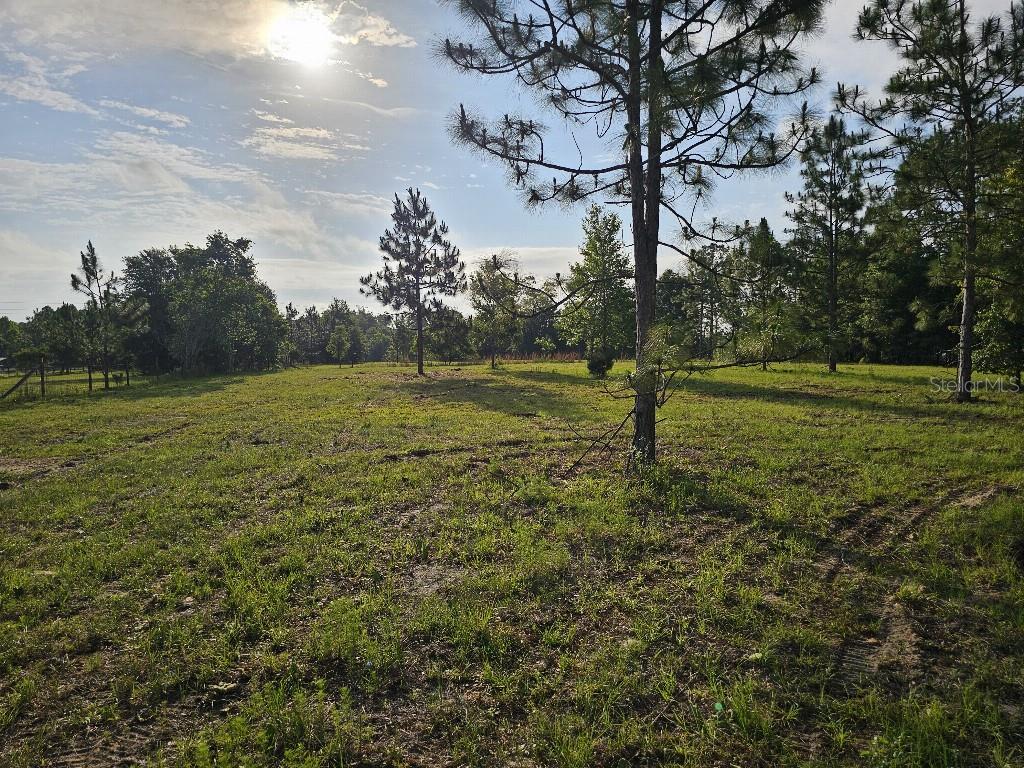 0 SW SPIRIT AVE AVE, FORT WHITE, FL — photo 31