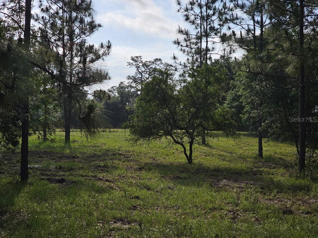 0 SW SPIRIT AVE AVE, FORT WHITE, FL — photo 32