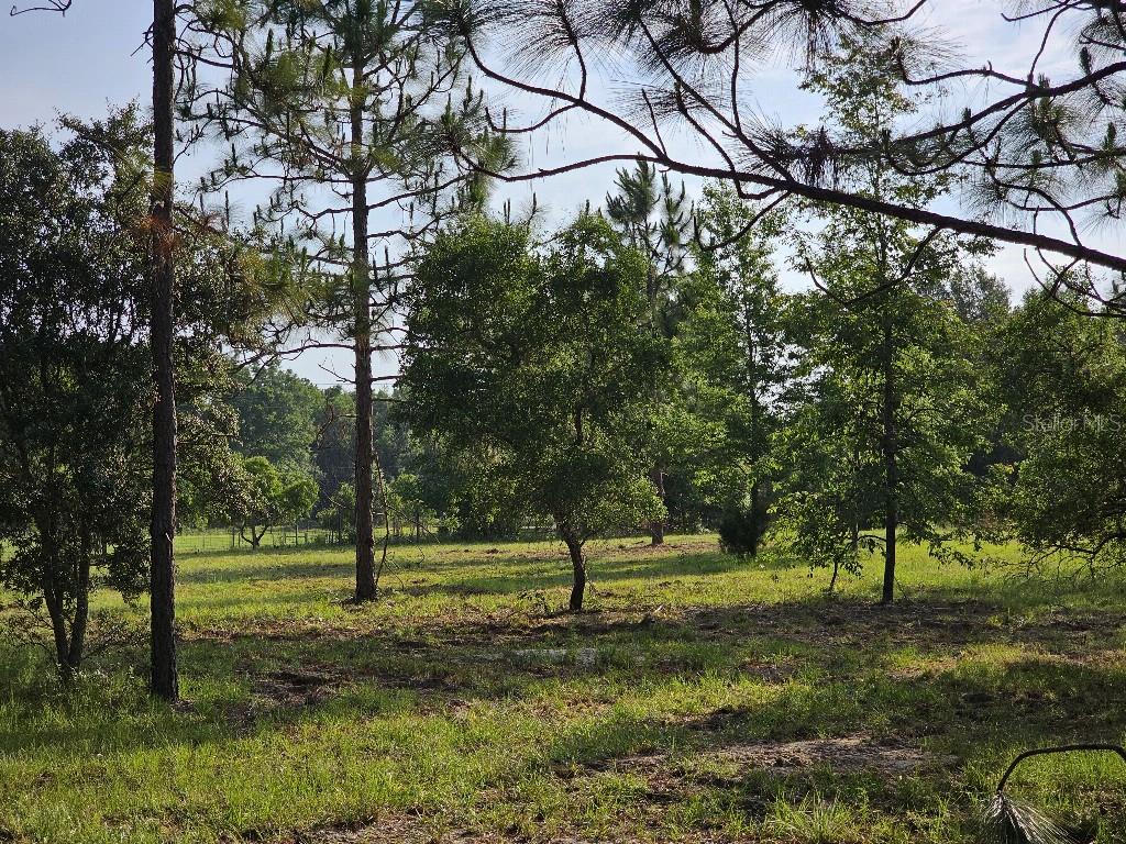 0 SW SPIRIT AVE AVE, FORT WHITE, FL — photo 33
