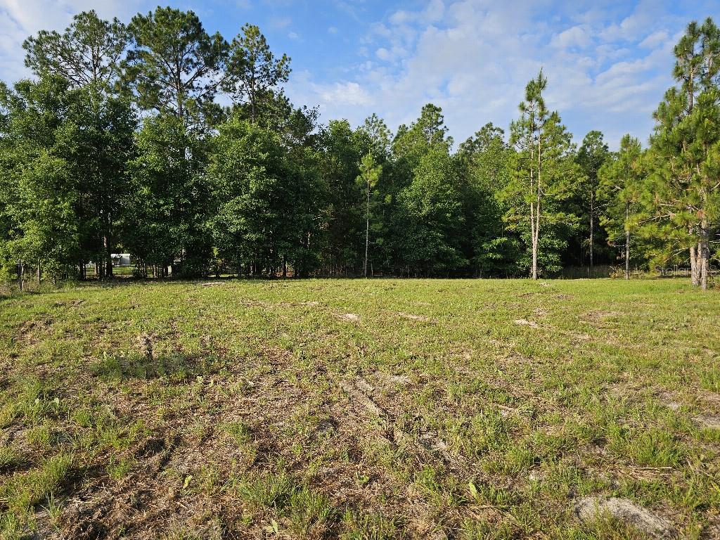 0 SW SPIRIT AVE AVE, FORT WHITE, FL — photo 37