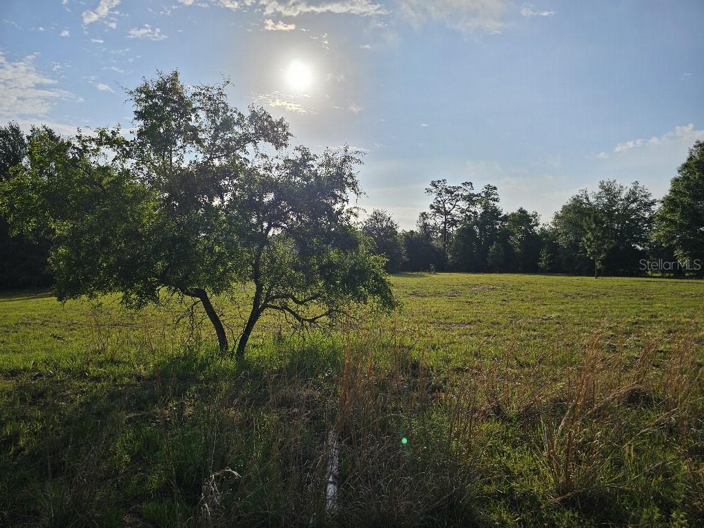 0 SW SPIRIT AVE AVE, FORT WHITE, FL — photo 38