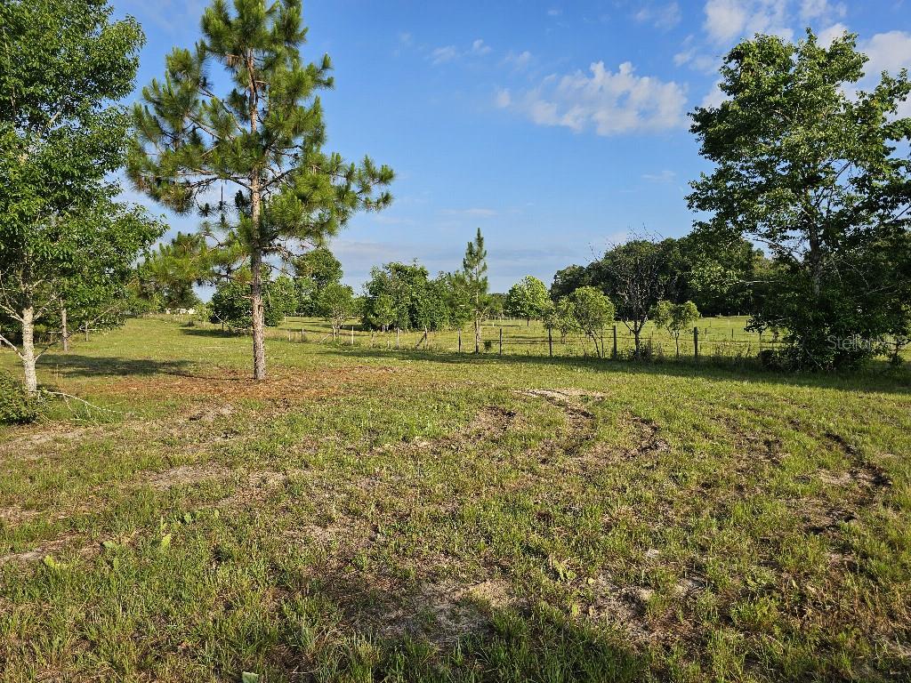 0 SW SPIRIT AVE AVE, FORT WHITE, FL — photo 39