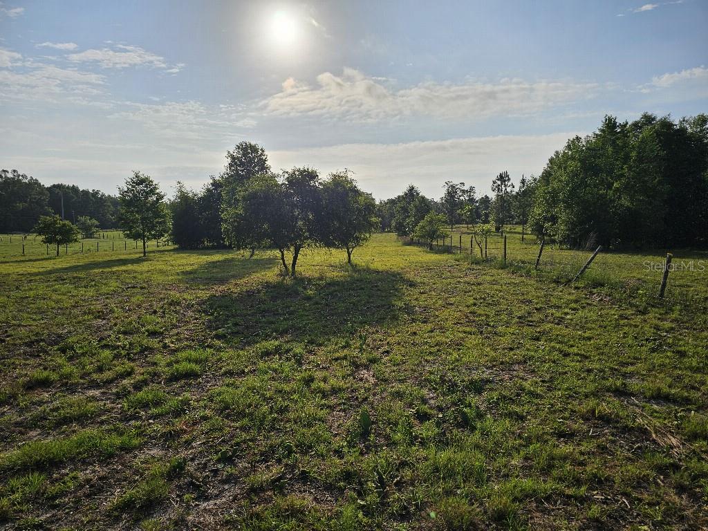 0 SW SPIRIT AVE AVE, FORT WHITE, FL — photo 40