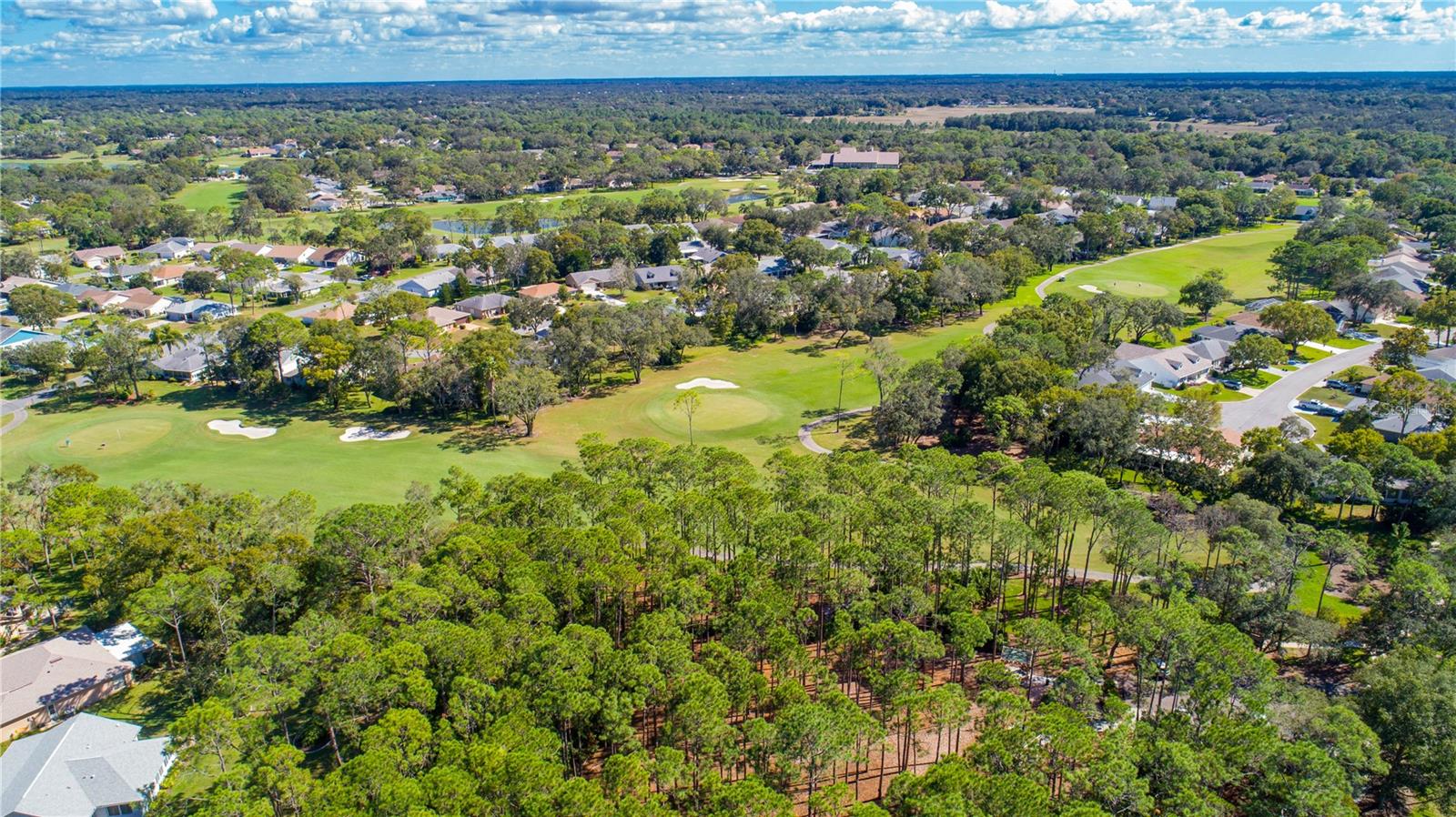 2139 SEA PINES CT, SPRING HILL, FL — photo 25