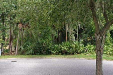 165 WILLOW OAK WAY, PALM COAST, FL — photo 2
