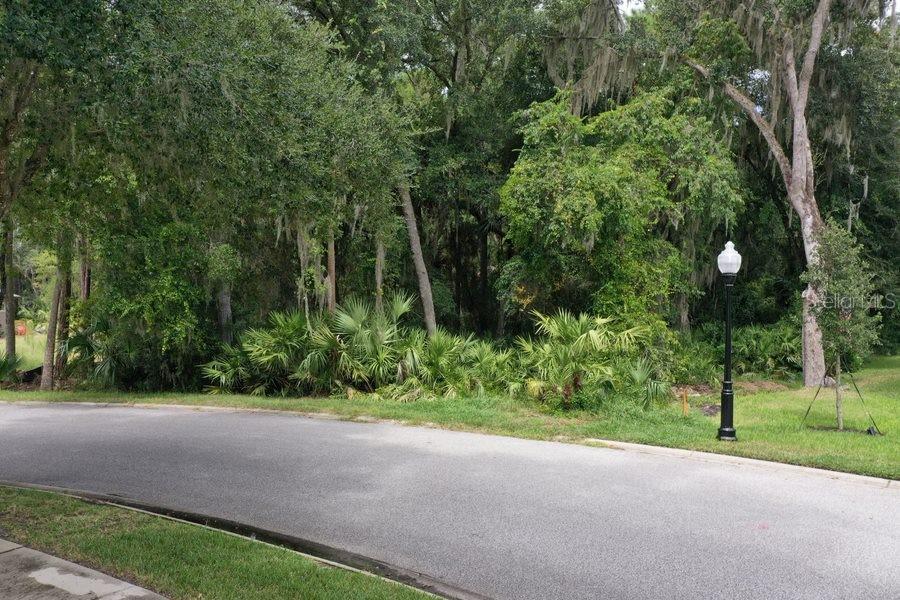 165 WILLOW OAK WAY, PALM COAST, FL — photo 3