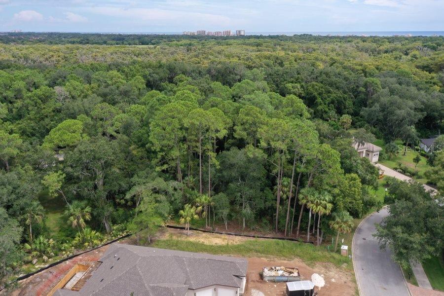 165 WILLOW OAK WAY, PALM COAST, FL — photo 4