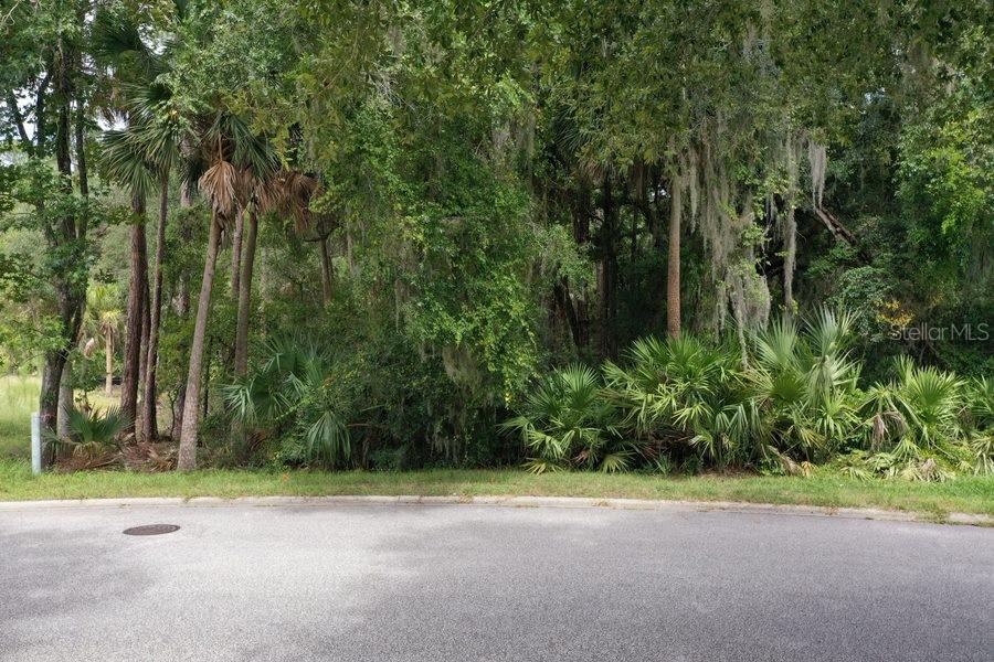 165 WILLOW OAK WAY, PALM COAST, FL — photo 5