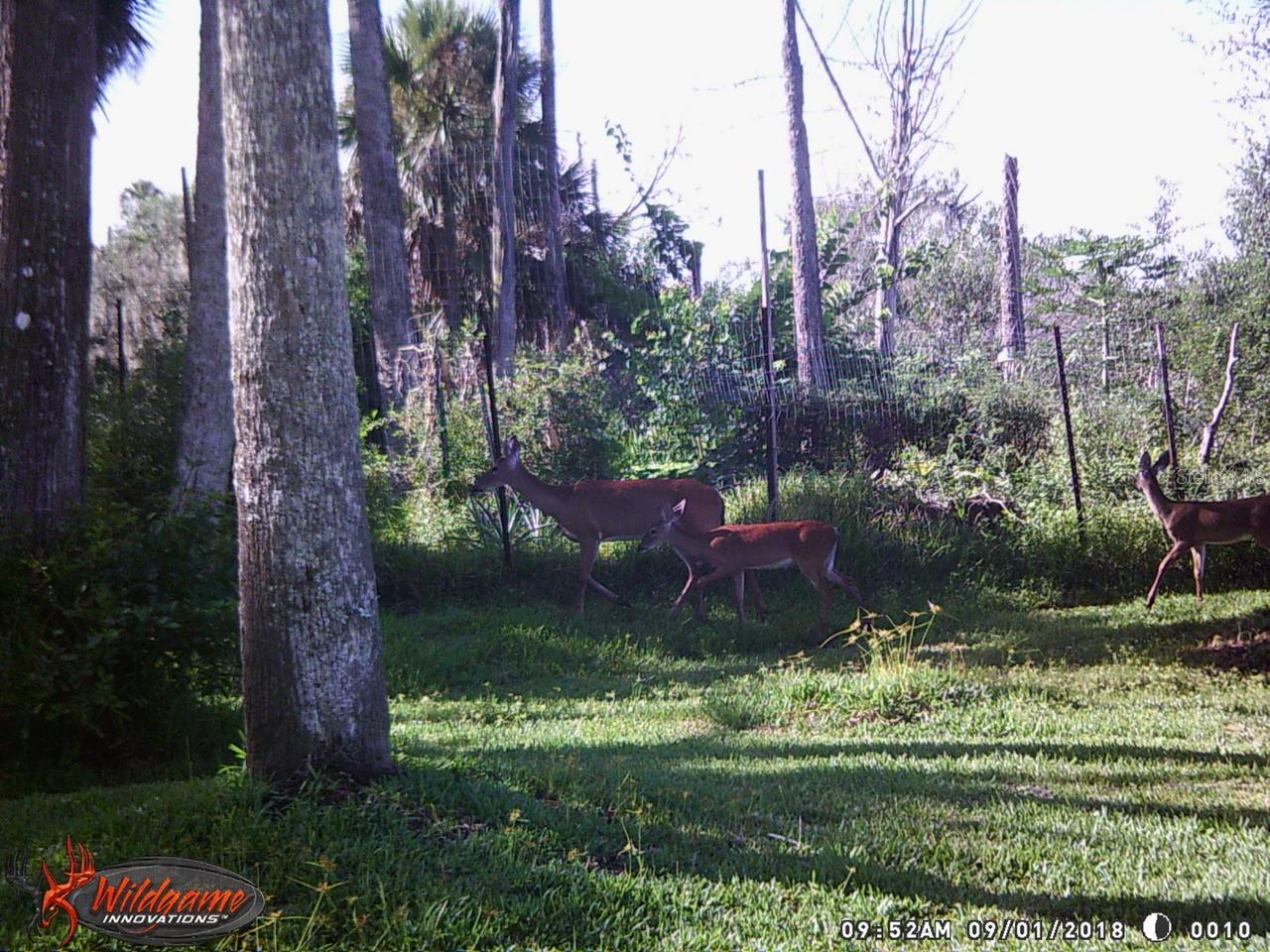 165 WILLOW OAK WAY, PALM COAST, FL — photo 27