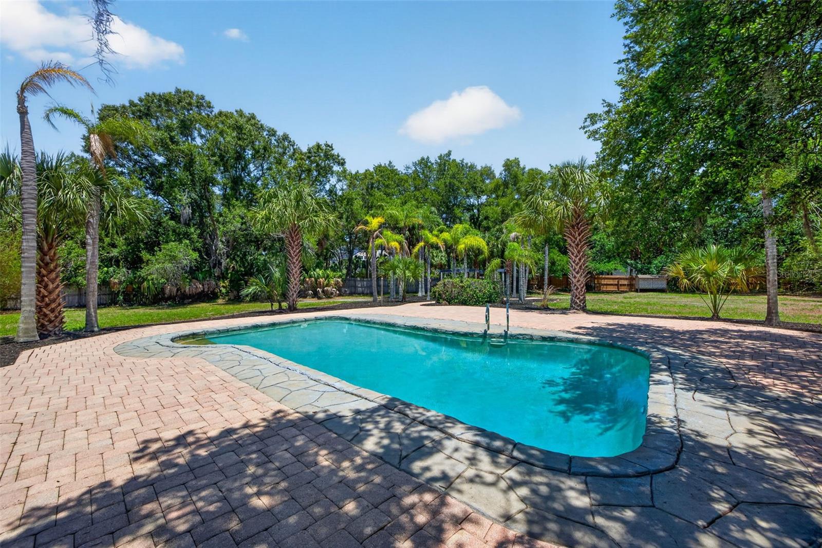 1007 STATE ST E, OLDSMAR, FL — photo 47
