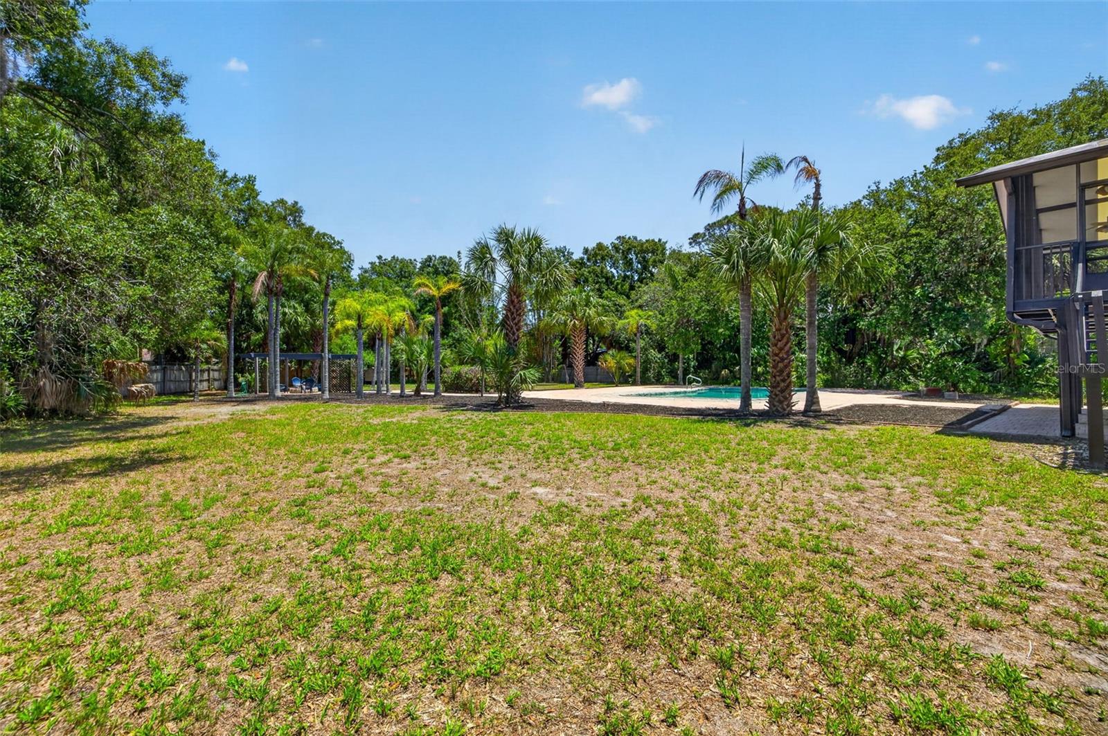 1007 STATE ST E, OLDSMAR, FL — photo 54